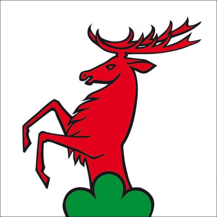 Ammerswil flag