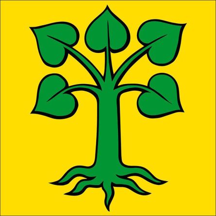 Beinwil Freiamt flag