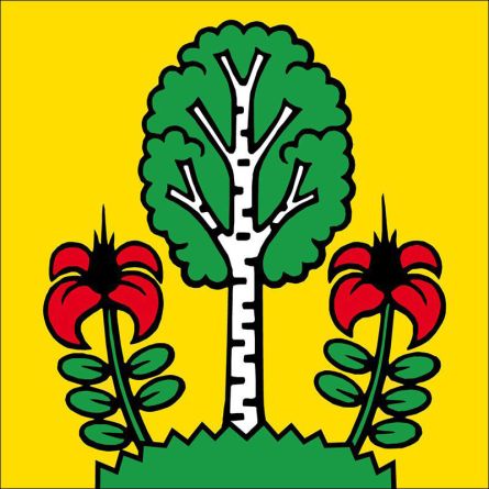 Besenbüren flag
