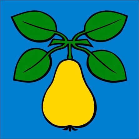 Birr flag
