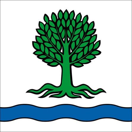 Bünzen flag