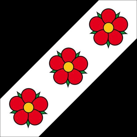 Dintikon flag