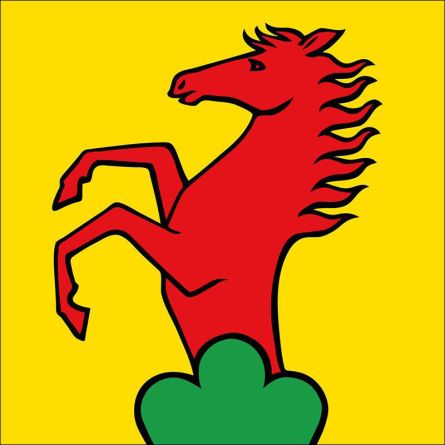 Dottikon flag