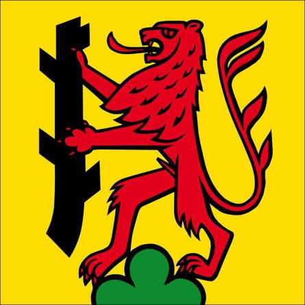 Dürrenäsch flag