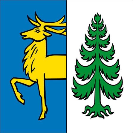 Ehrendingen flag