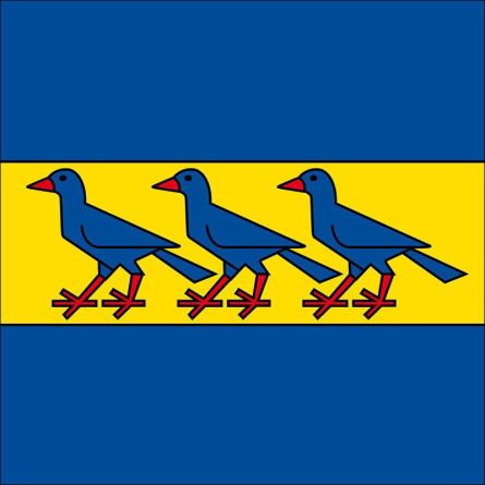 Fisibach flag