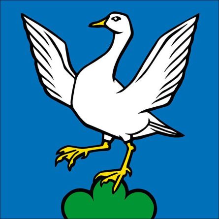 Gansingen flag