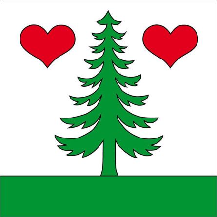 Gontenschwil flag
