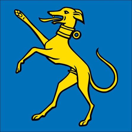 Hunzenschwil flag