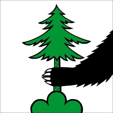 Kölliken flag