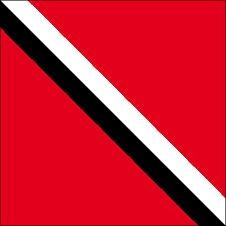 Leibstadt flag