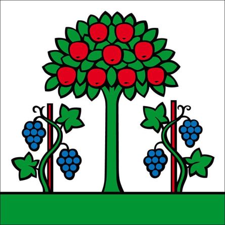 Magden flag