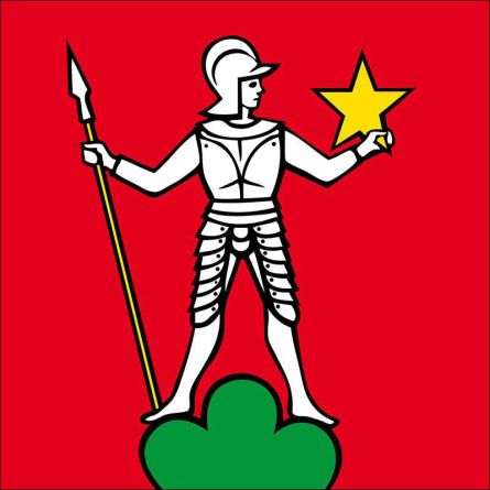 Menziken flag