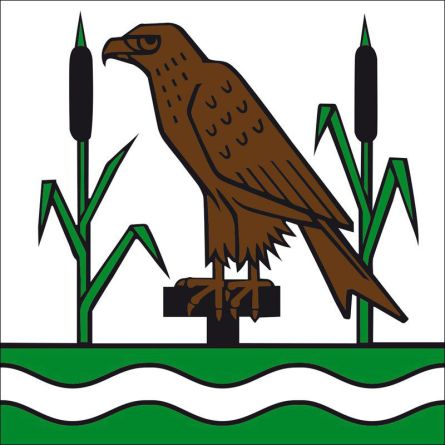 Moosleerau flag