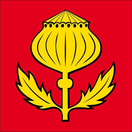 Mägenwil flag