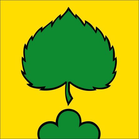 Niederlenz flag