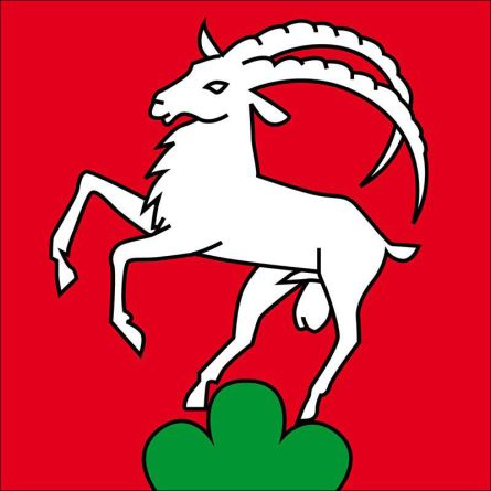 Remigen flag