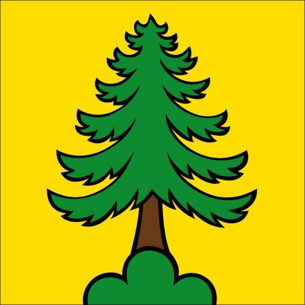 Riniken flag