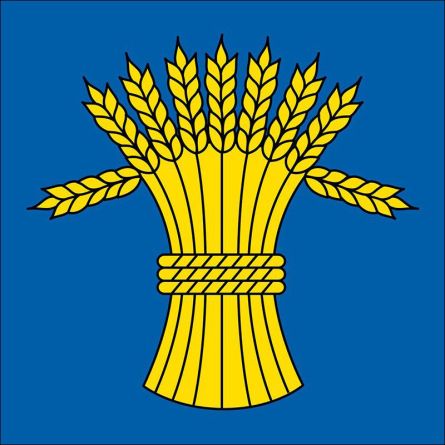 Rüfenach flag