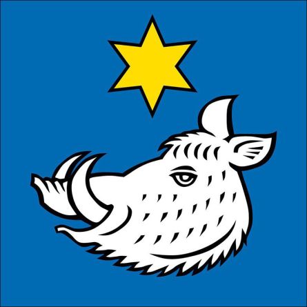 Safenwil flag