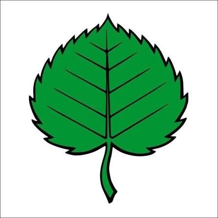 Schupfart flag