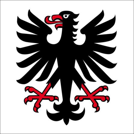Seengen flag