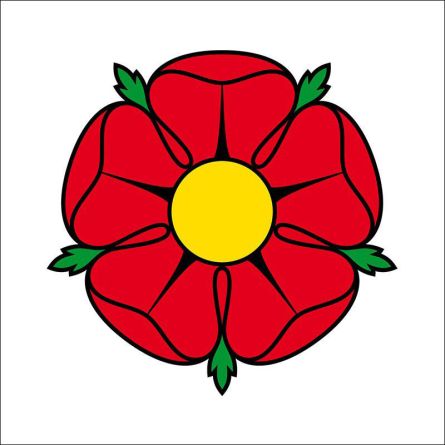 Villmergen flag