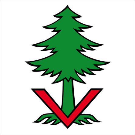 Vordemwald flag