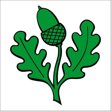 Würenlingen flag