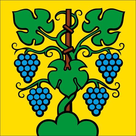 Zeiningen flag