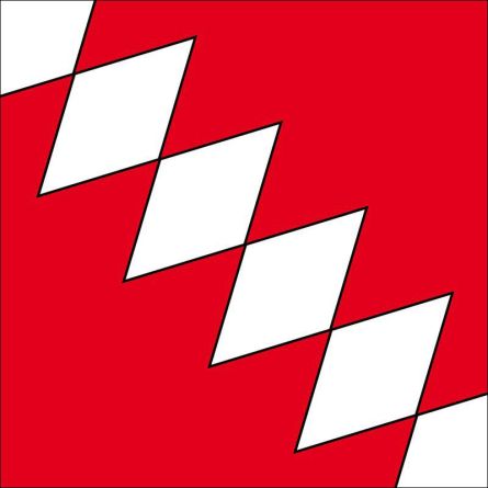 Biel Benken flag