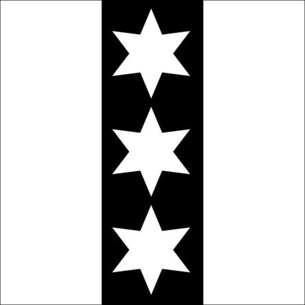 Binningen flag
