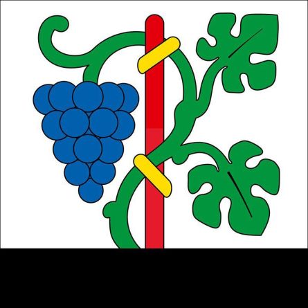 Buus flag