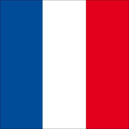 Gelterkinden flag
