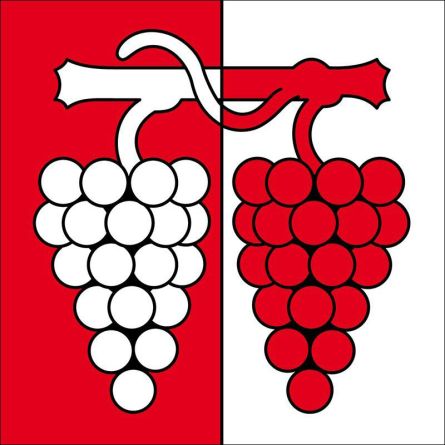 Maisprach flag