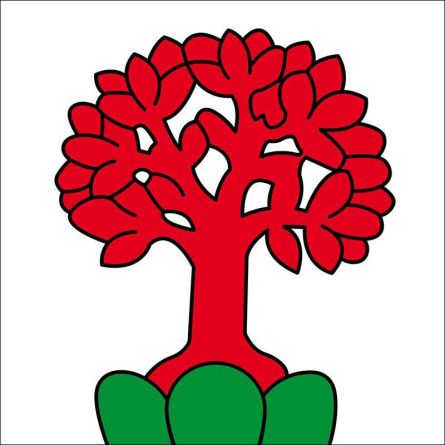 Schönenbuch flag