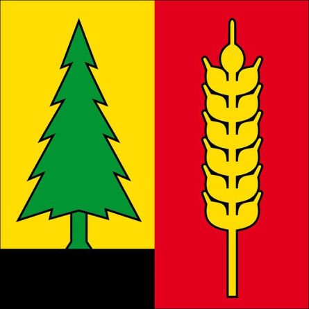 Wenslingen flag
