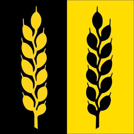 Wittinsburg flag