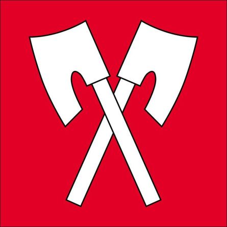 Biel Bienne flag
