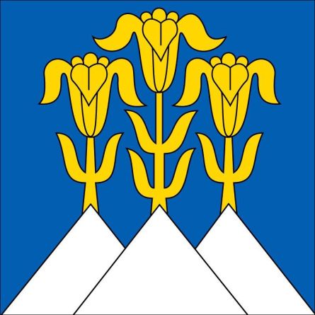 Blumenstein flag