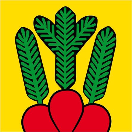 Bowil flag