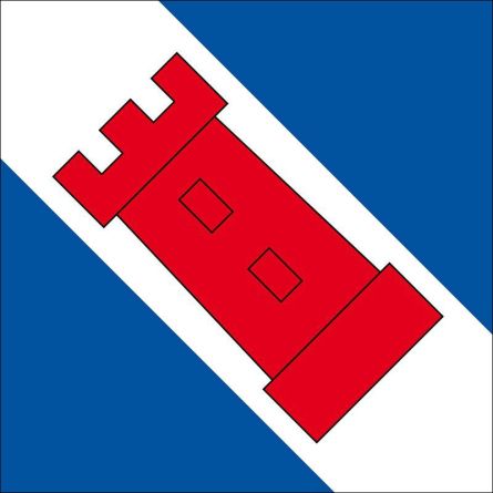Brienzwiler flag