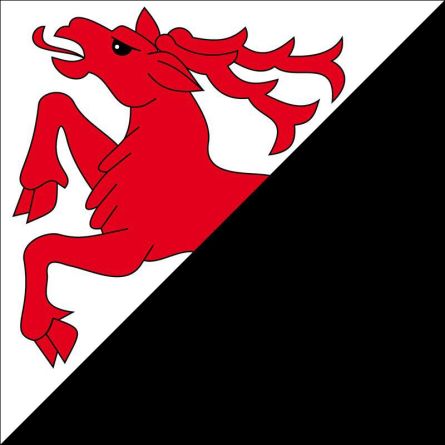 Burgistein flag