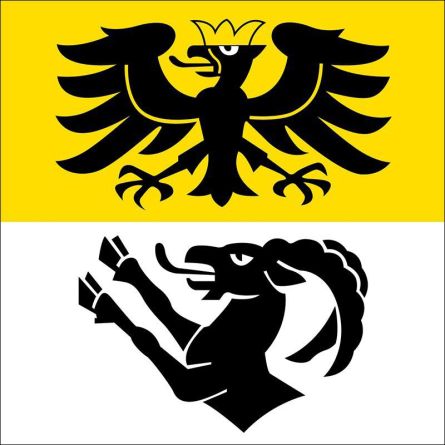 Bönigen flag