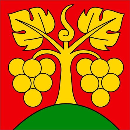 Bühl flag
