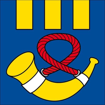 Court flag