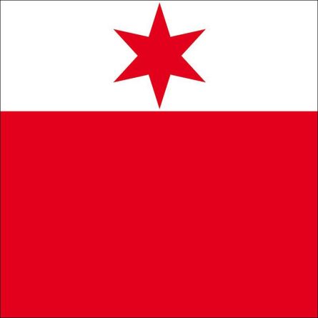 Dotzigen flag