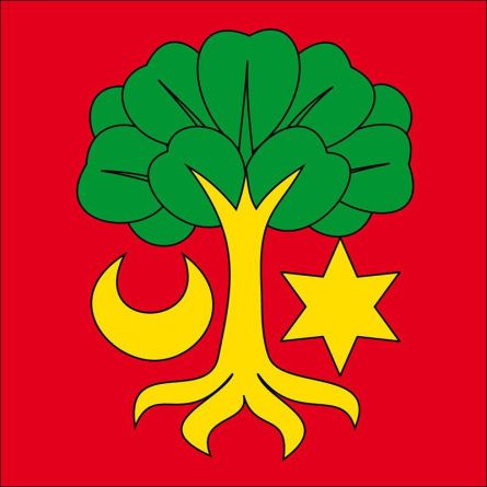 Erlach flag