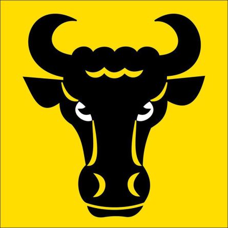 Evilard flag
