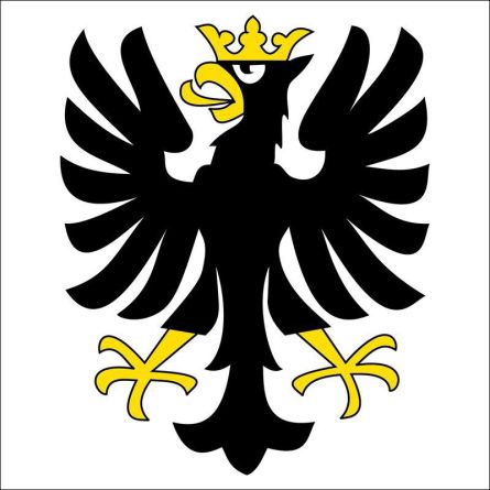Frutigen flag